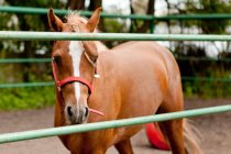 куда пойти в выходные 2014