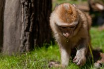 куда пойти в выходные 2014